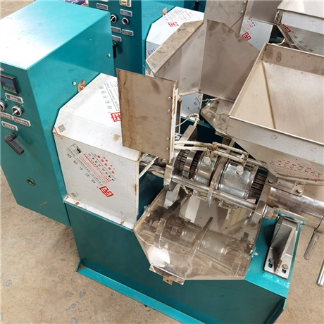 四川小型榨油機(jī)  新型家用榨油機(jī) 菜籽花生100新型榨油機(jī) 80型濾油機(jī)