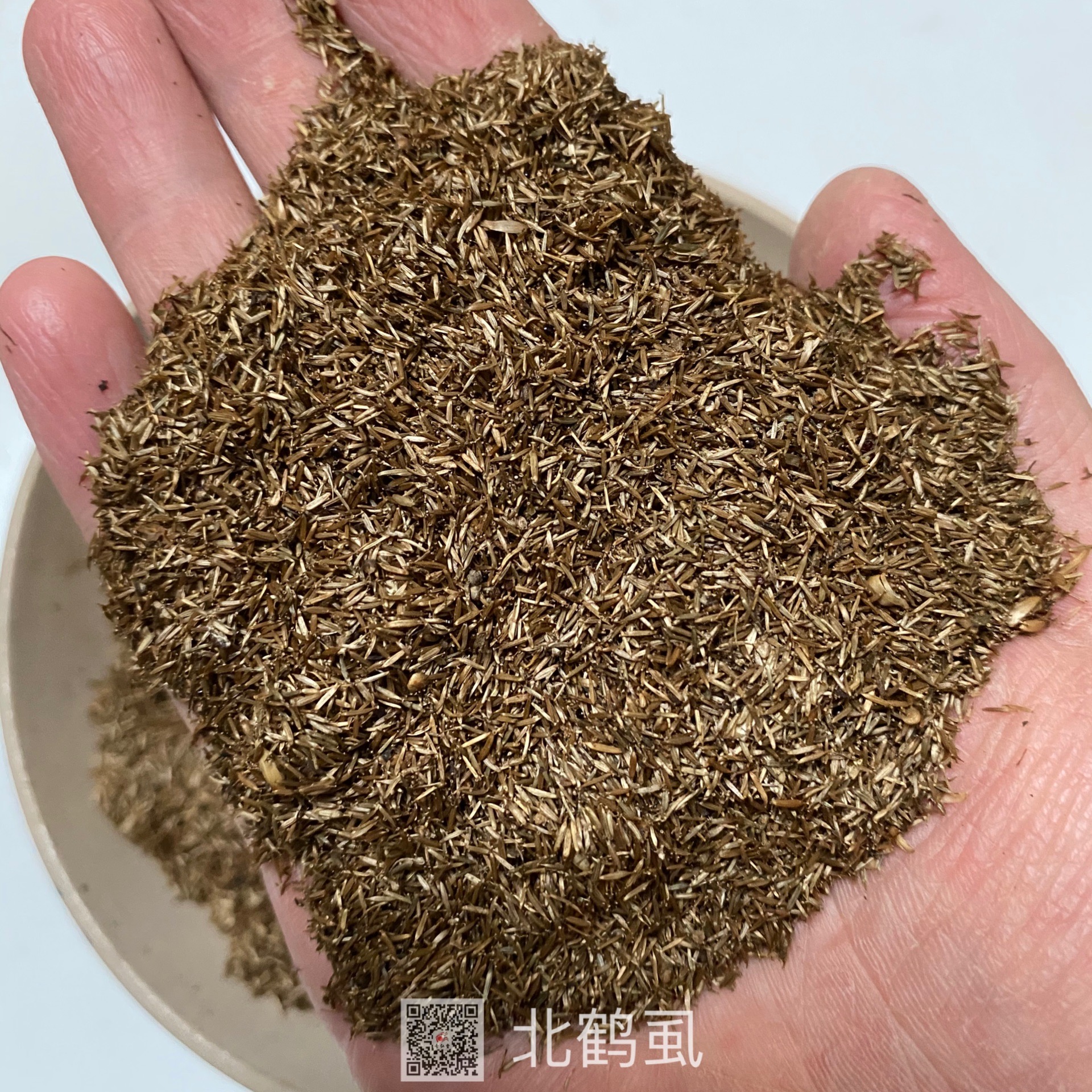 中药材北鹤虱北鹤虱的价格