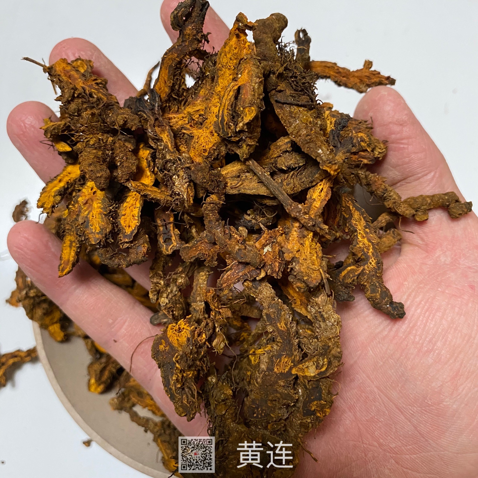 中药材黄连/黄连/鸡爪连批发零售