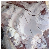 海滨供应硅藻土 天津白色硅藻土 工业级硅藻土