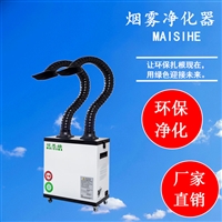 双工位焊锡烟雾净化器 焊接烟尘净化设备