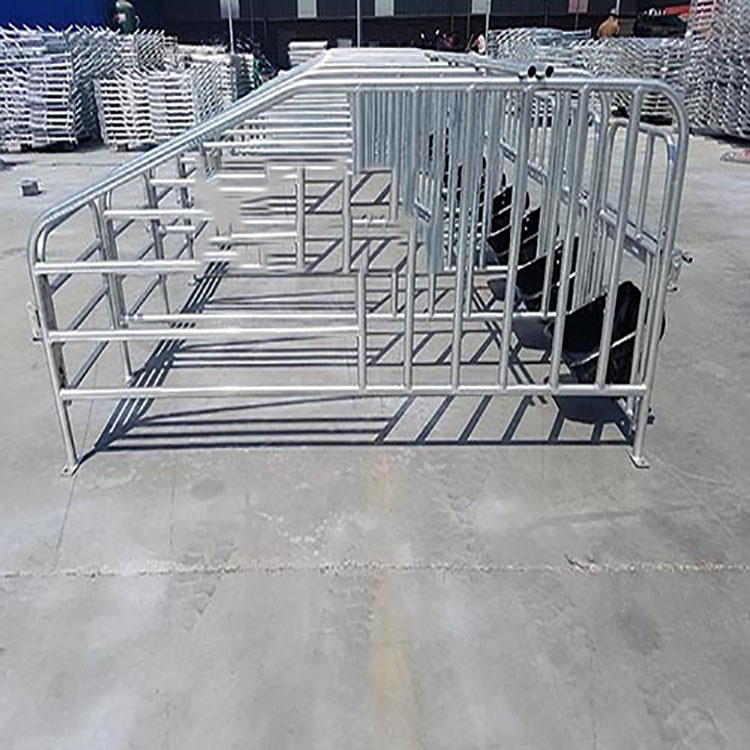 母猪定位栏 母猪限位栏 定位栏带漏粪板 威旺猪用养猪场设备