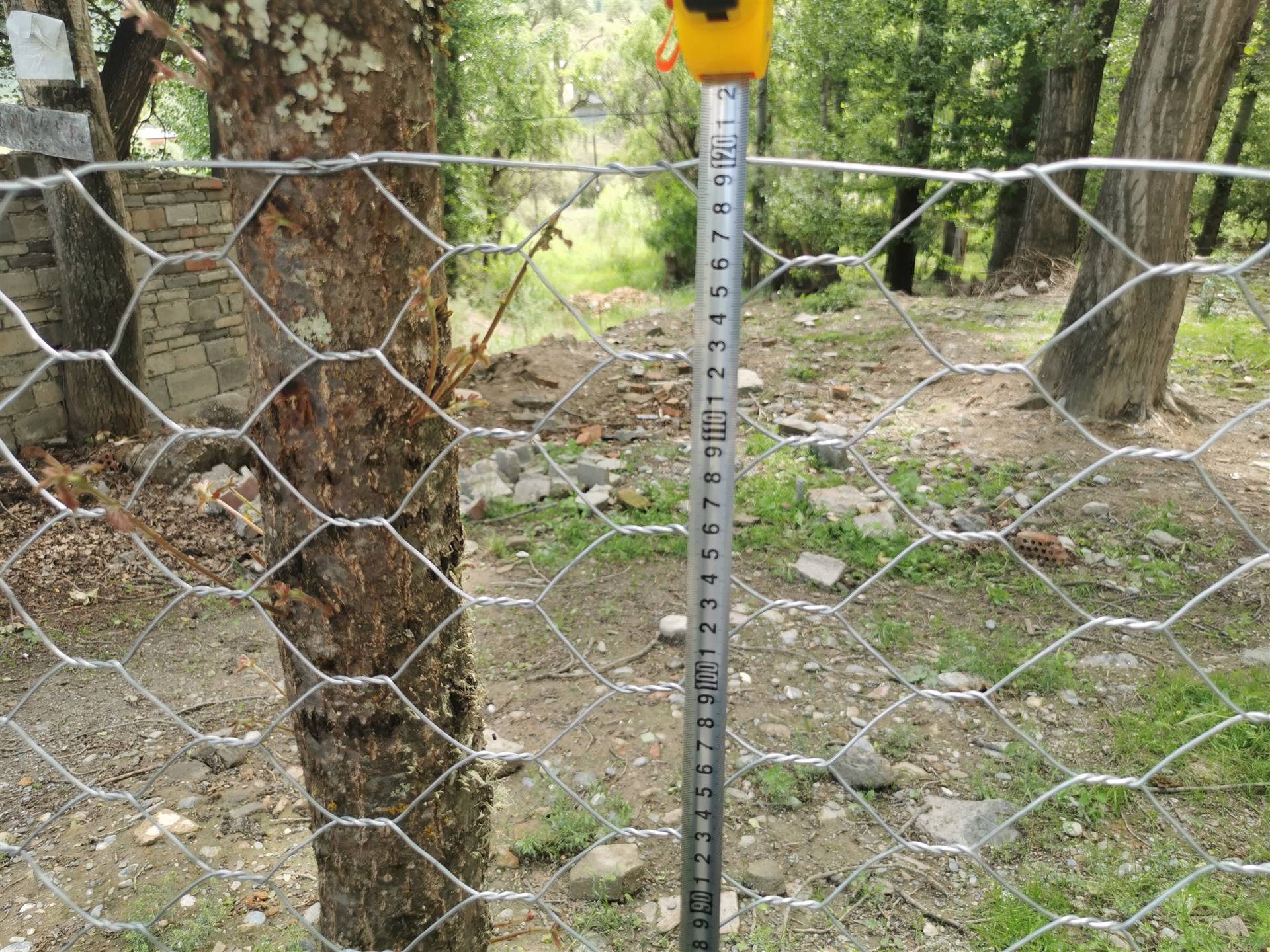 新疆水塘围网畜牧业围墙铁丝网刺丝钢刺围栏