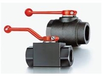 库存ROTELMANN碳钢球阀 型号DN12S ST/POM/F PN500