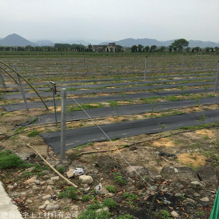 PP防草布,90克除草布,云南