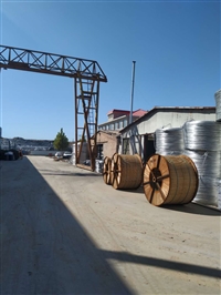 遵义市钢芯铝绞线生产厂家 贵州专用钢芯铝绞线