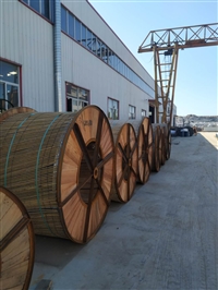 支持定制钢芯铝绞线厂家 热销钢芯铝绞线JL/G1A-185/25