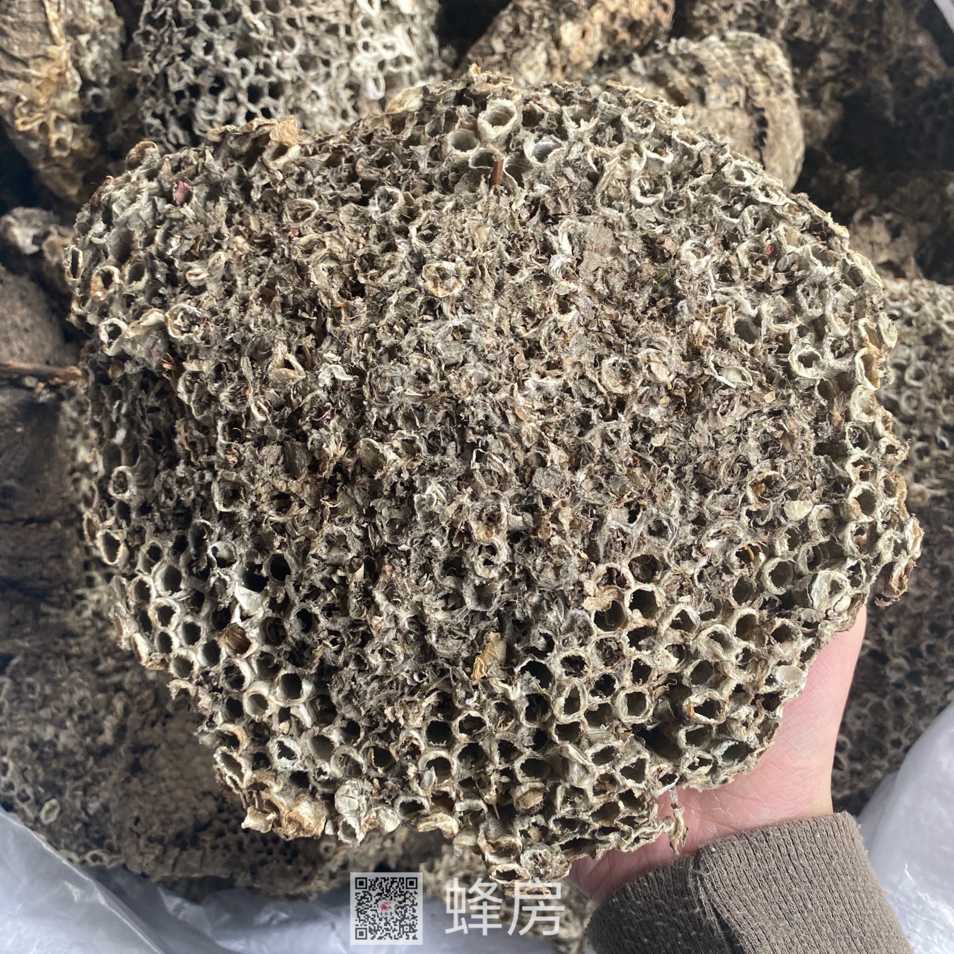 中药材蜂房新货蜂房质量保障