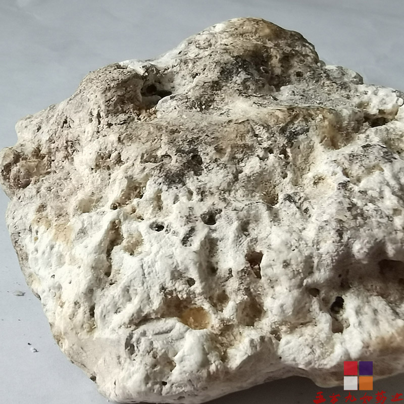 中药材龙涎香价格 龙涎香批发商