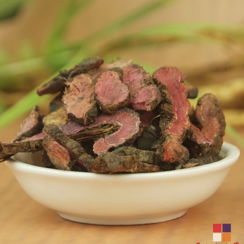 中药材拳参价格拳参批发