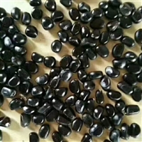 安徽亳州牡丹种子市场行情价格