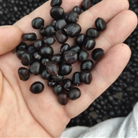 安徽亳州榨油牡丹种子原产地直发