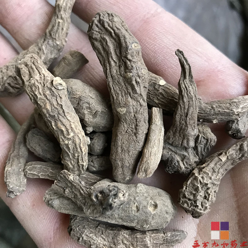 中药材雪上一支蒿价格 一支蒿批发