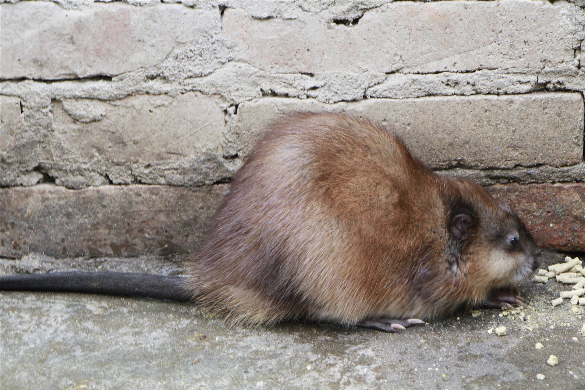 00起订量10双起批货源所属商家已经过真实性核验数量产品信息联系方式