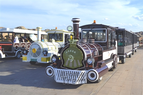 博瑞特观光小火车巡游花车观光旅游设备