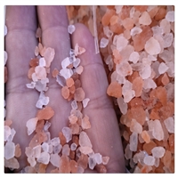 海滨供应水晶岩盐 甘肃矿物盐沙盐块 水晶盐砖