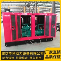 山东发电机组厂家 康明斯动力发电机组 50kw发电机组 华利动力