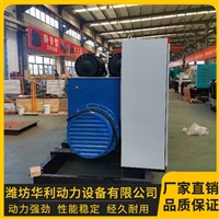 潍坊柴油发电机厂家 50KW工厂专用应急电源 厂家直供 华利动力