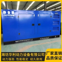 发电机组厂家 农用发电机组 200Kw潍坊发电机组 华利动力