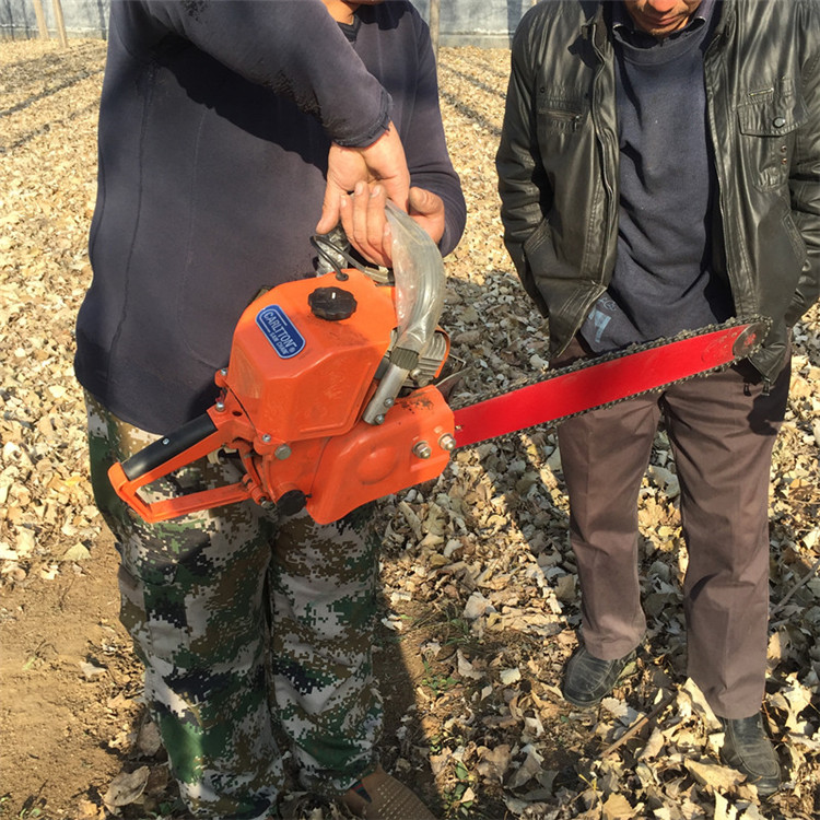 挖樹機視頻挖樹機廠家效率高挖樹機