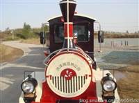 陆地小火车   电动小火车     爬山小火车