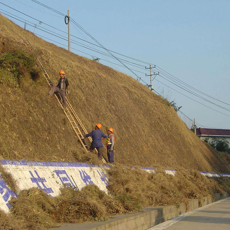 園林綠化施工 河北寶幹建築工程有限公司生產各種邊坡護欄網,邊坡