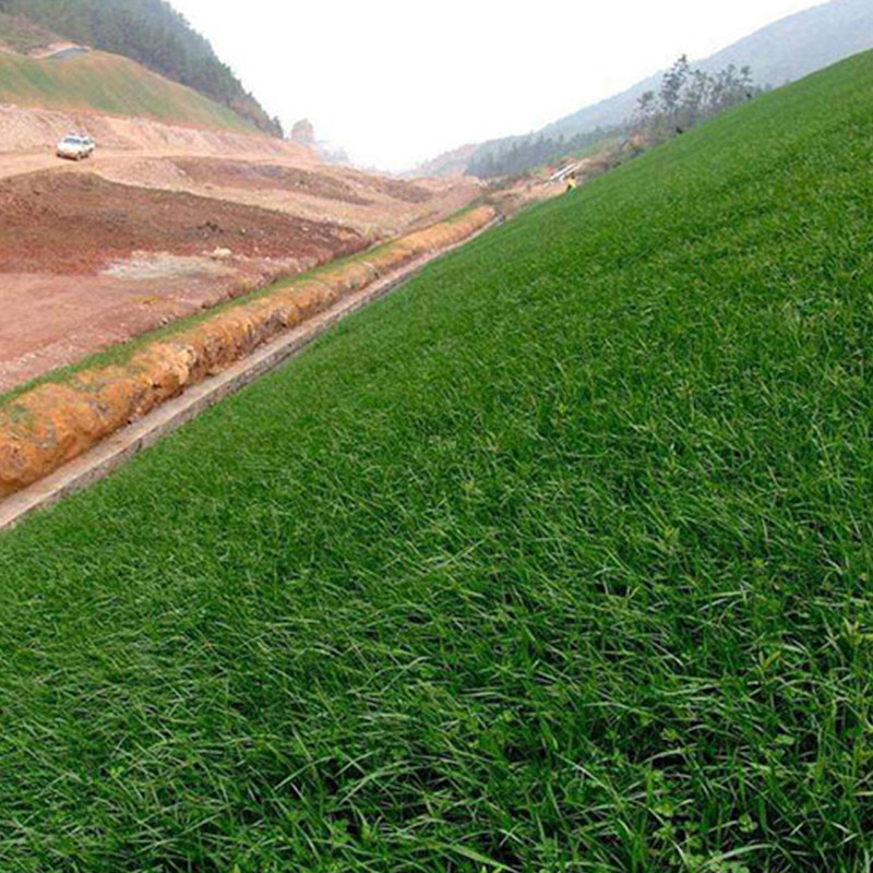 斜坡绿化 护坡绿化施工方案