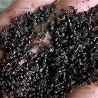 黑蚂蚁价格 中药材黑蚂蚁供应