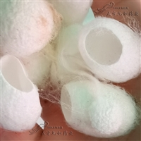 蚕茧价格 中药材蚕茧批发