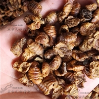 蚕蛹价格 中药材蚕蛹批发