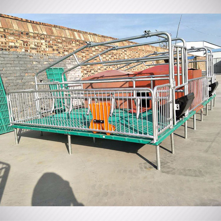 双体母猪产床复合母猪产床限位定位栏国标25热镀锌保育床