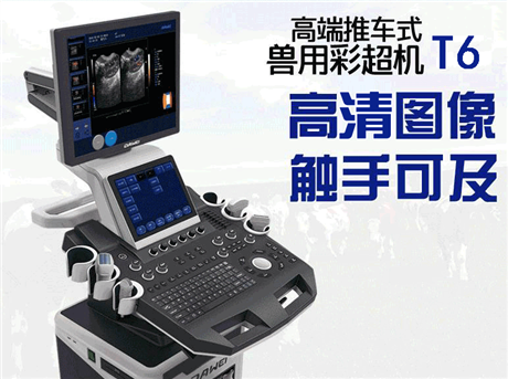 科研B超机 实验彩超机 小老鼠心脏超声 兔子彩超机 小动物超声