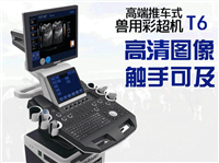 科研B超机 实验彩超机 小老鼠心脏超声 兔子彩超机 小动物超声