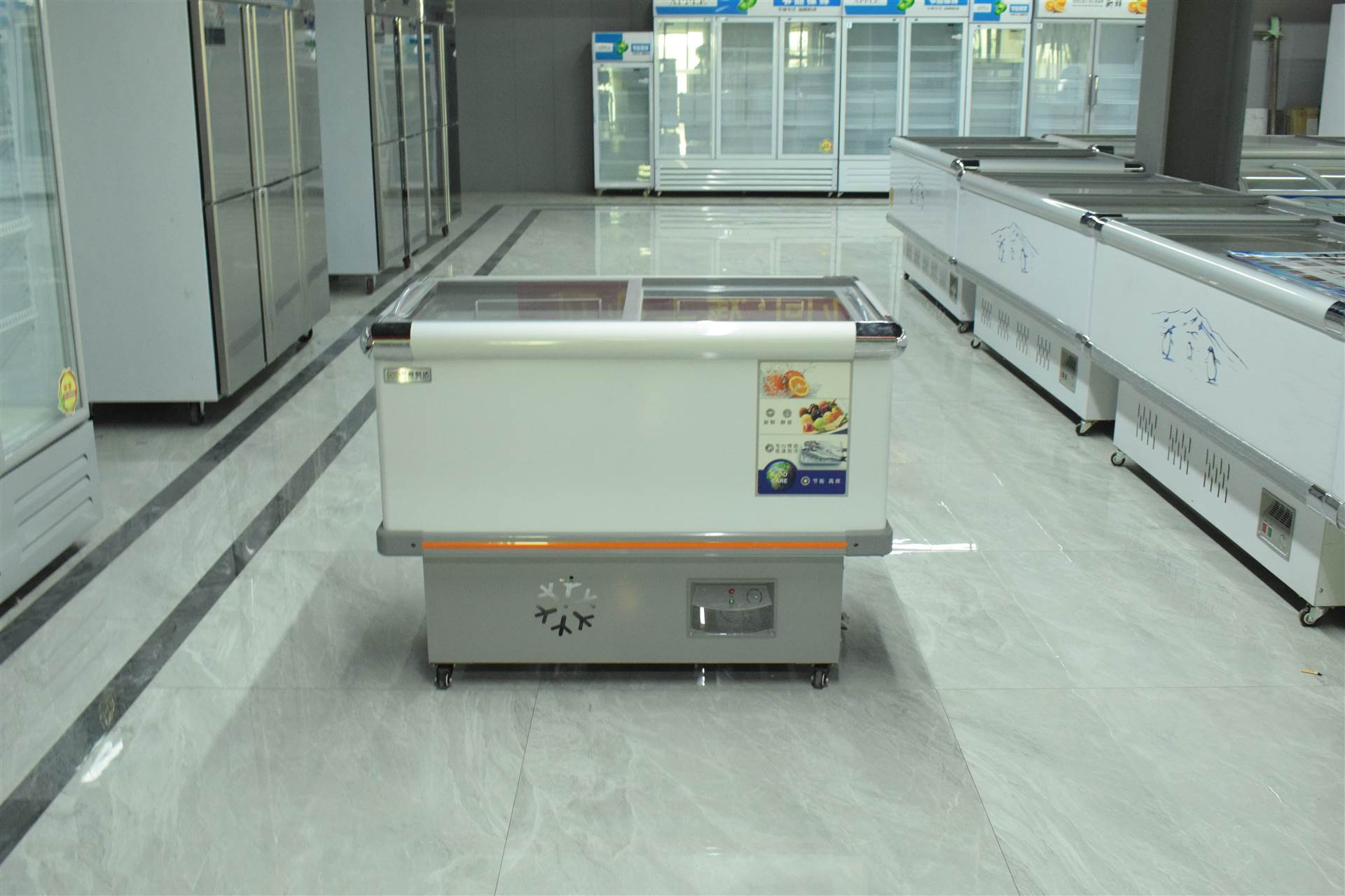 冷柜保鲜冷冻两用冷藏柜  铜管冰柜商用大冰柜