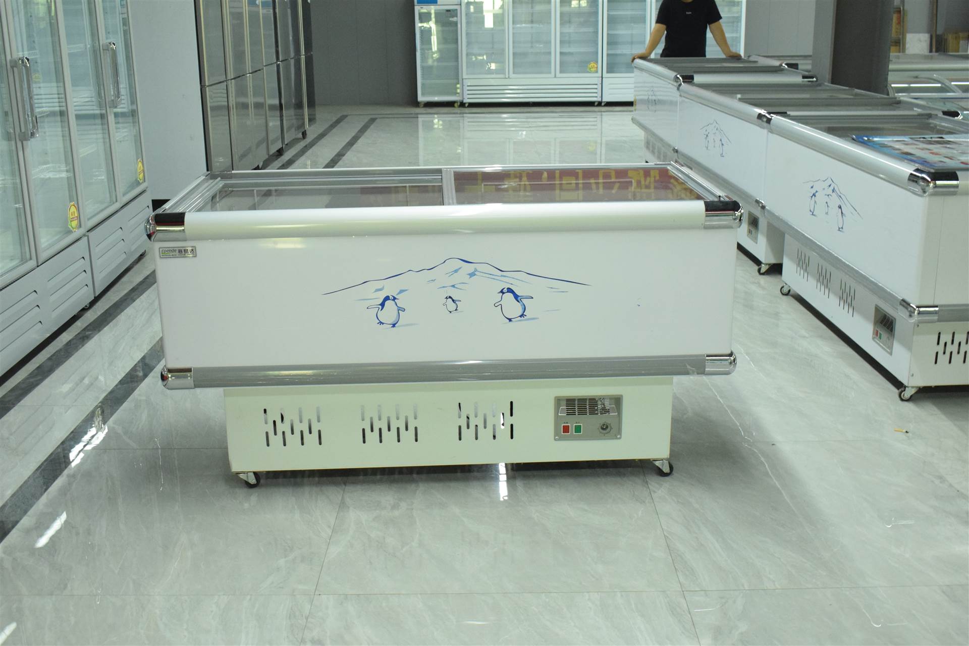 冷柜保鲜冷冻两用冷藏柜  铜管冰柜商用大冰柜