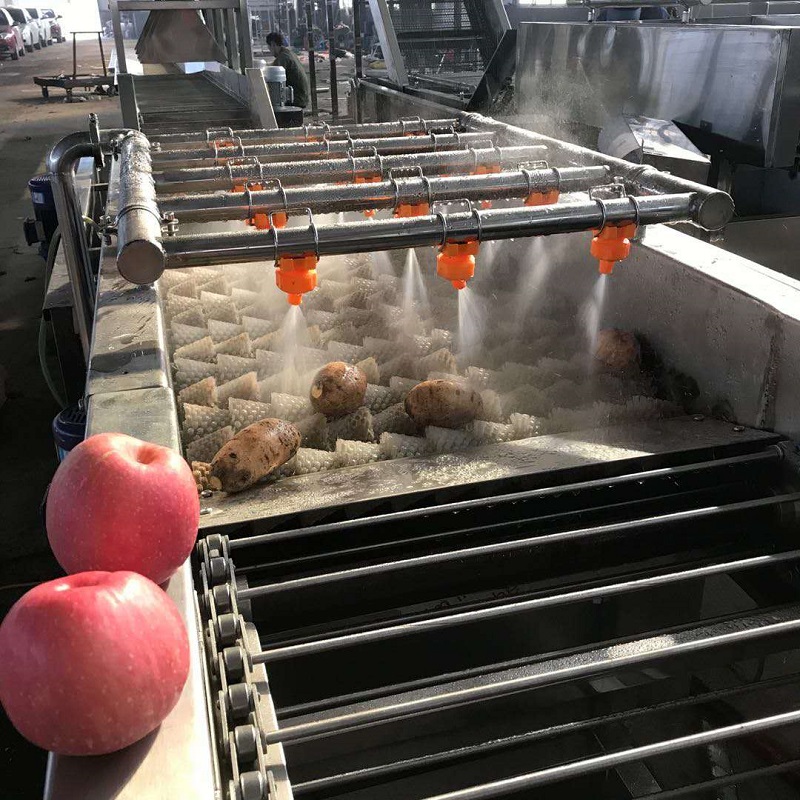 毛辊清洗机根茎清洗机洗萝卜设备土豆去皮清洗机迈超机械