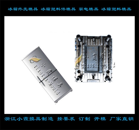 立式冰柜外壳模具厂家
