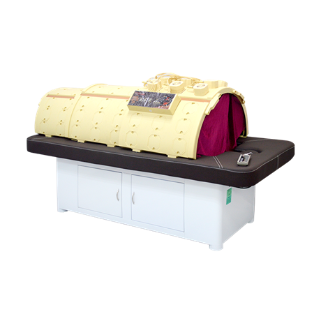 熏蒸汗蒸仪器 多功能养生仪器