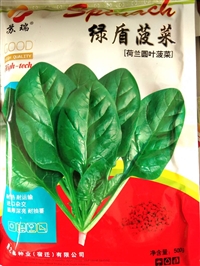 小叶菠菜种子常年供应