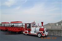 表演台车     豪华旅游火车    巡游花车