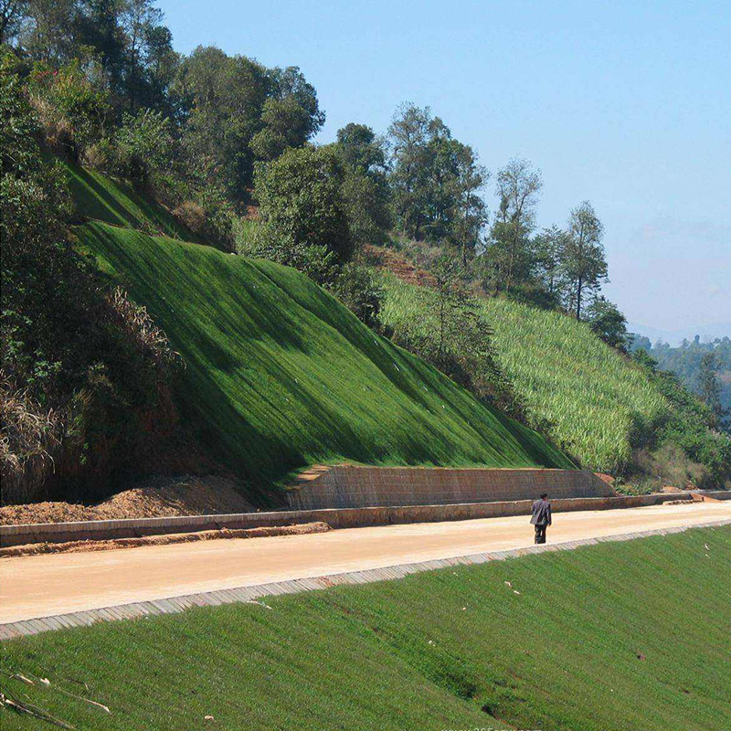 边坡绿化养护 边坡绿化怎么养护