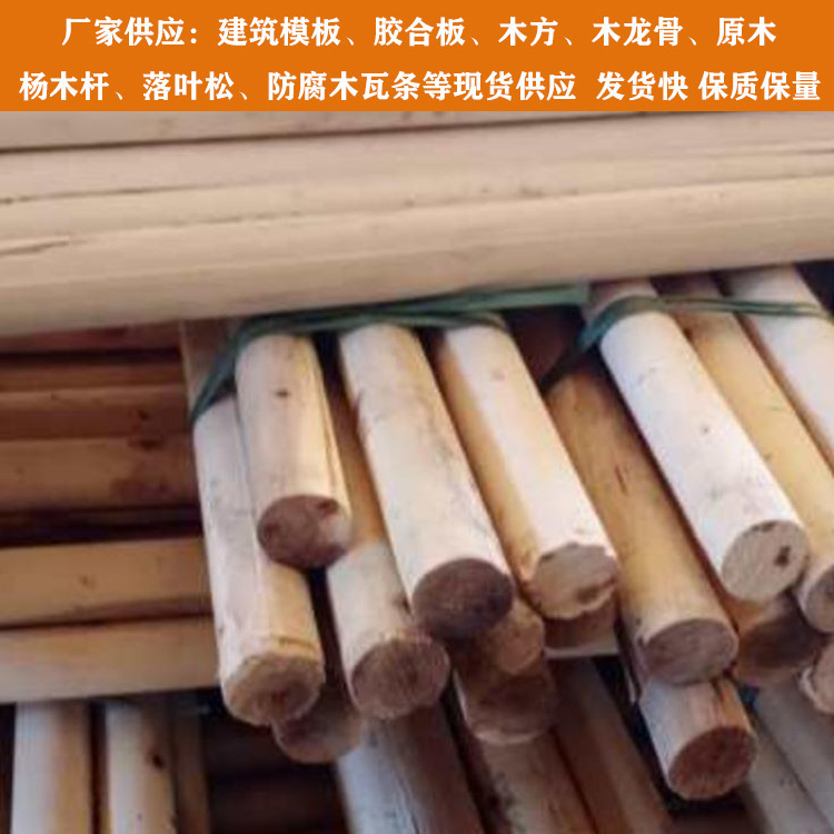 天津楊木桿木樁廠家 楊木桿加工 添誠木業綠化支撐桿