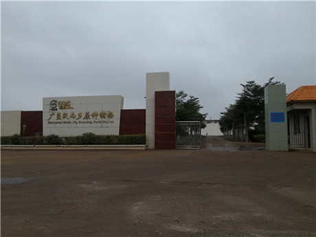 广东沃尔多原种猪场喷雾降温工程