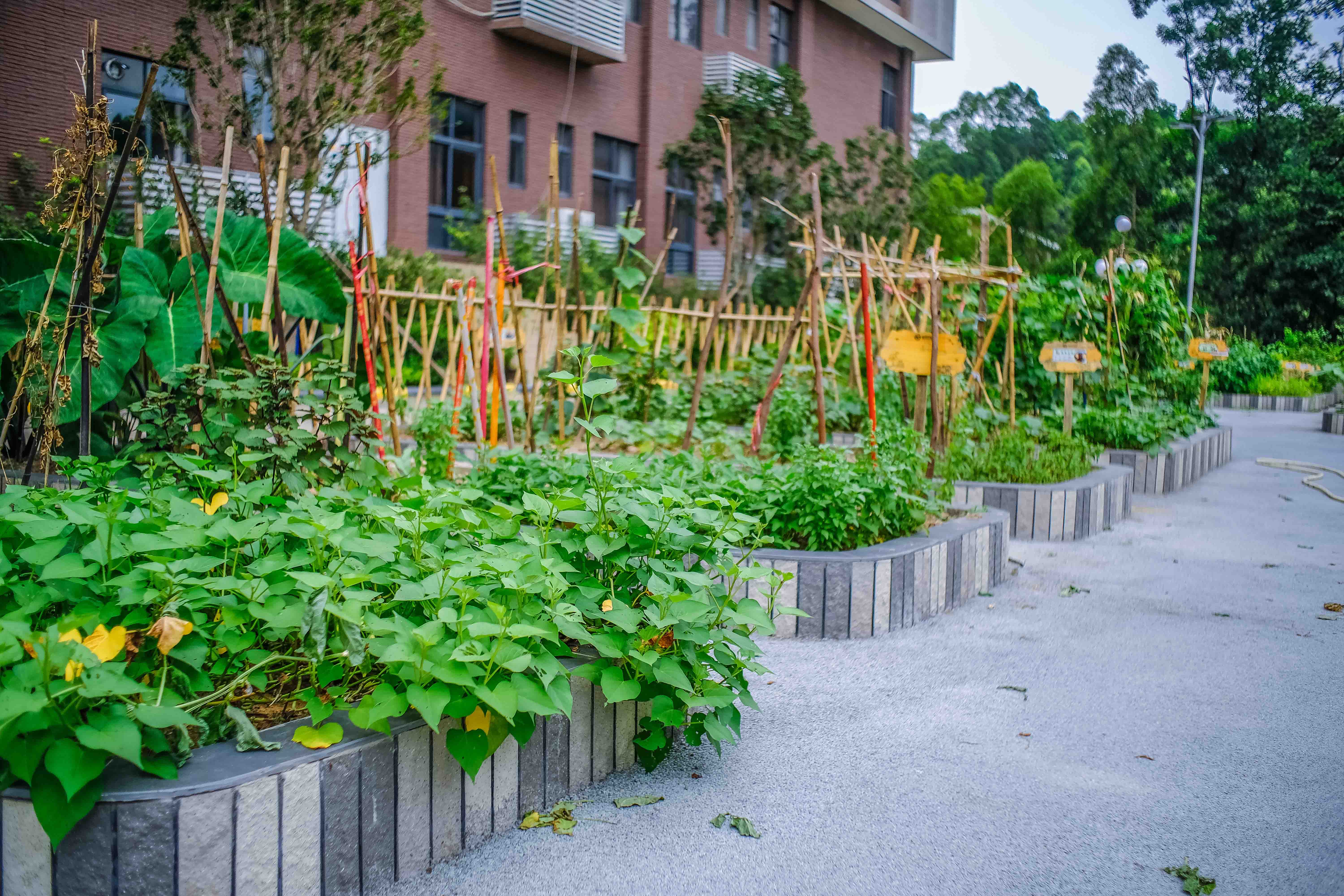 广州护理型养老院收费标准不能自理的老人多少钱一个月