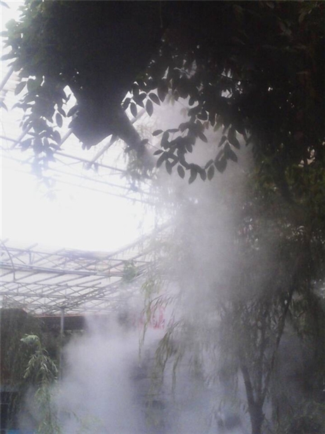 【公園人造霧 人造霧設(shè)備 人造霧】價(jià)格,廠家,人造霧