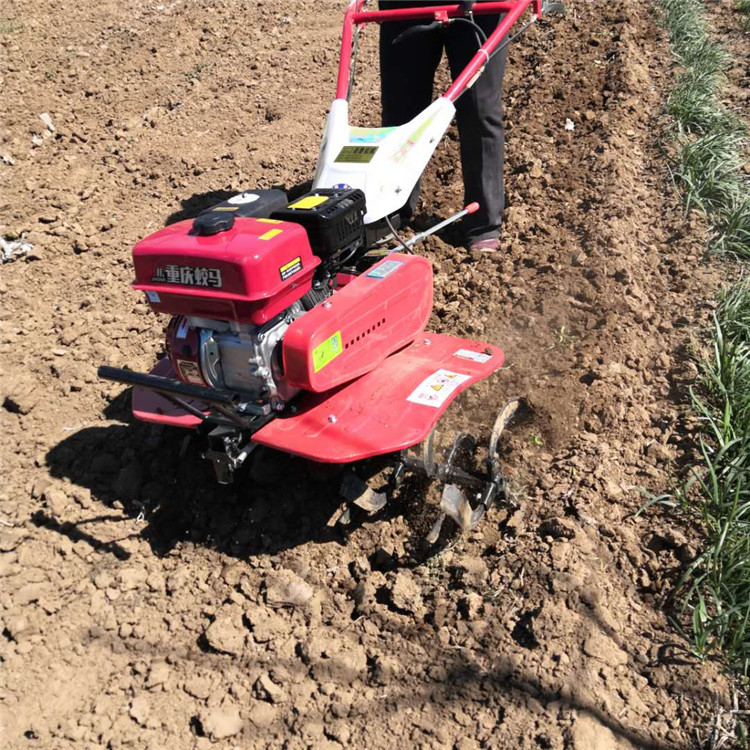 旋耕机 家用型小型旋地机 多用翻地犁