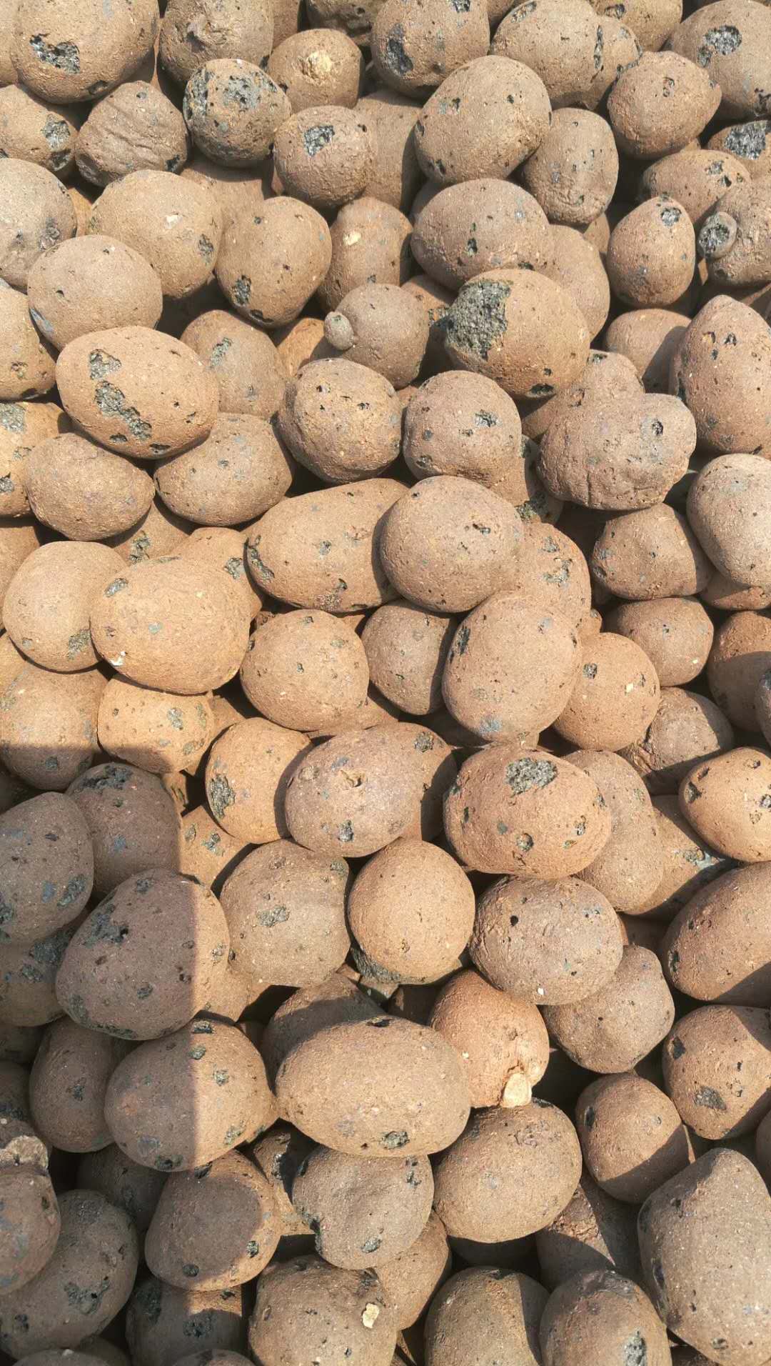 建筑大陶粒 珠海建筑陶粒价格