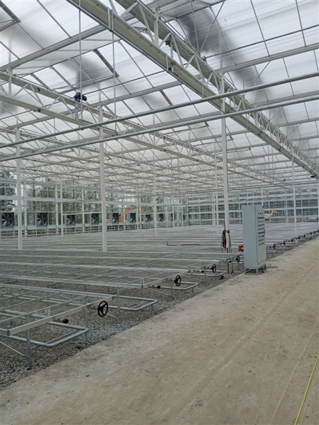 厂家供应移动苗床育苗设备齐全