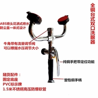 毕节0355台式洗眼器 清镇12L移动式洗眼器