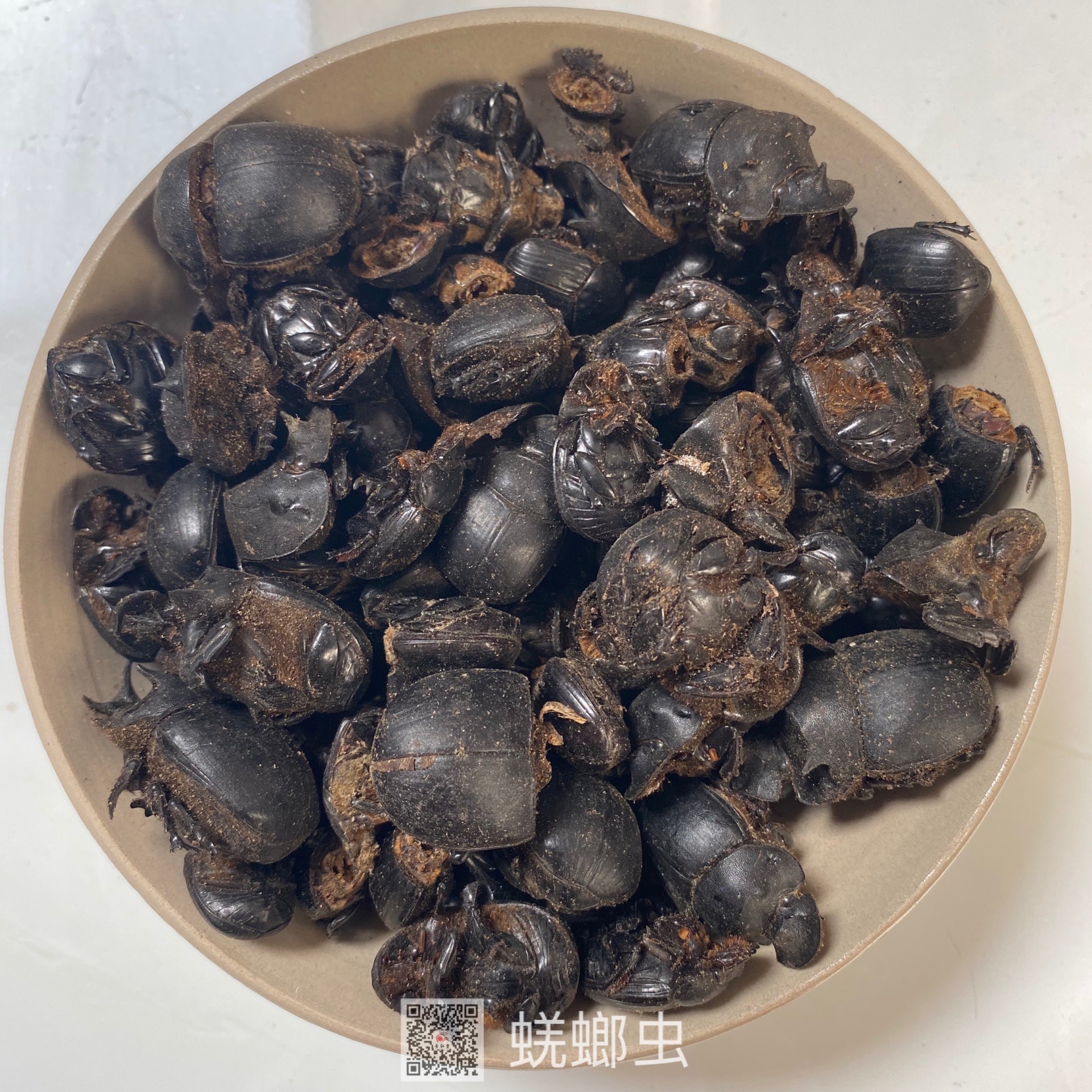 中药材蜣螂蜣螂虫的药用价值